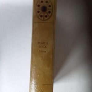 20240307124033 1.jpg