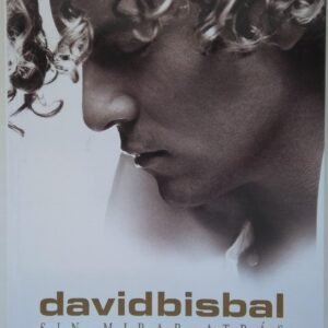 Davidbisbal 1.jpg